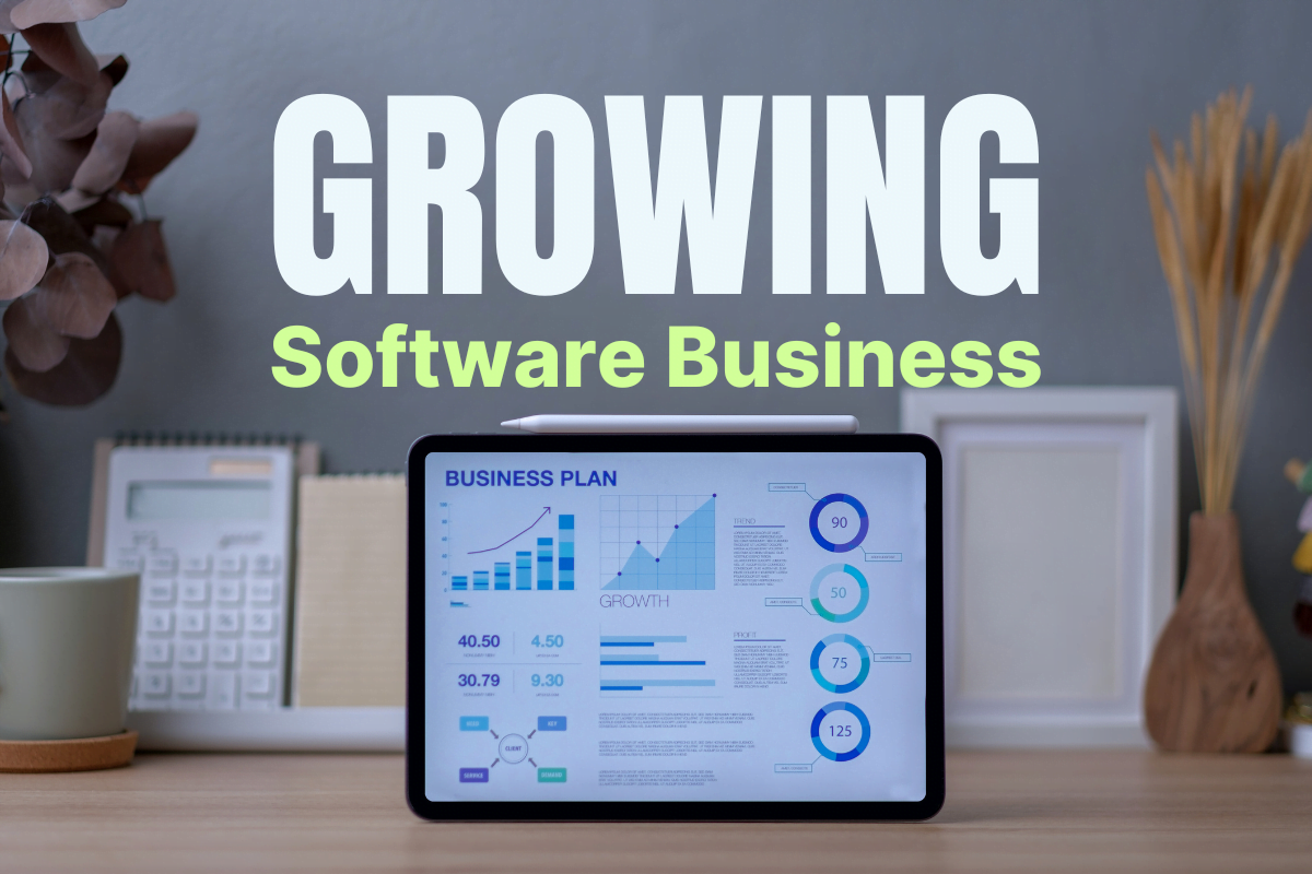 How to Value a New Software Business