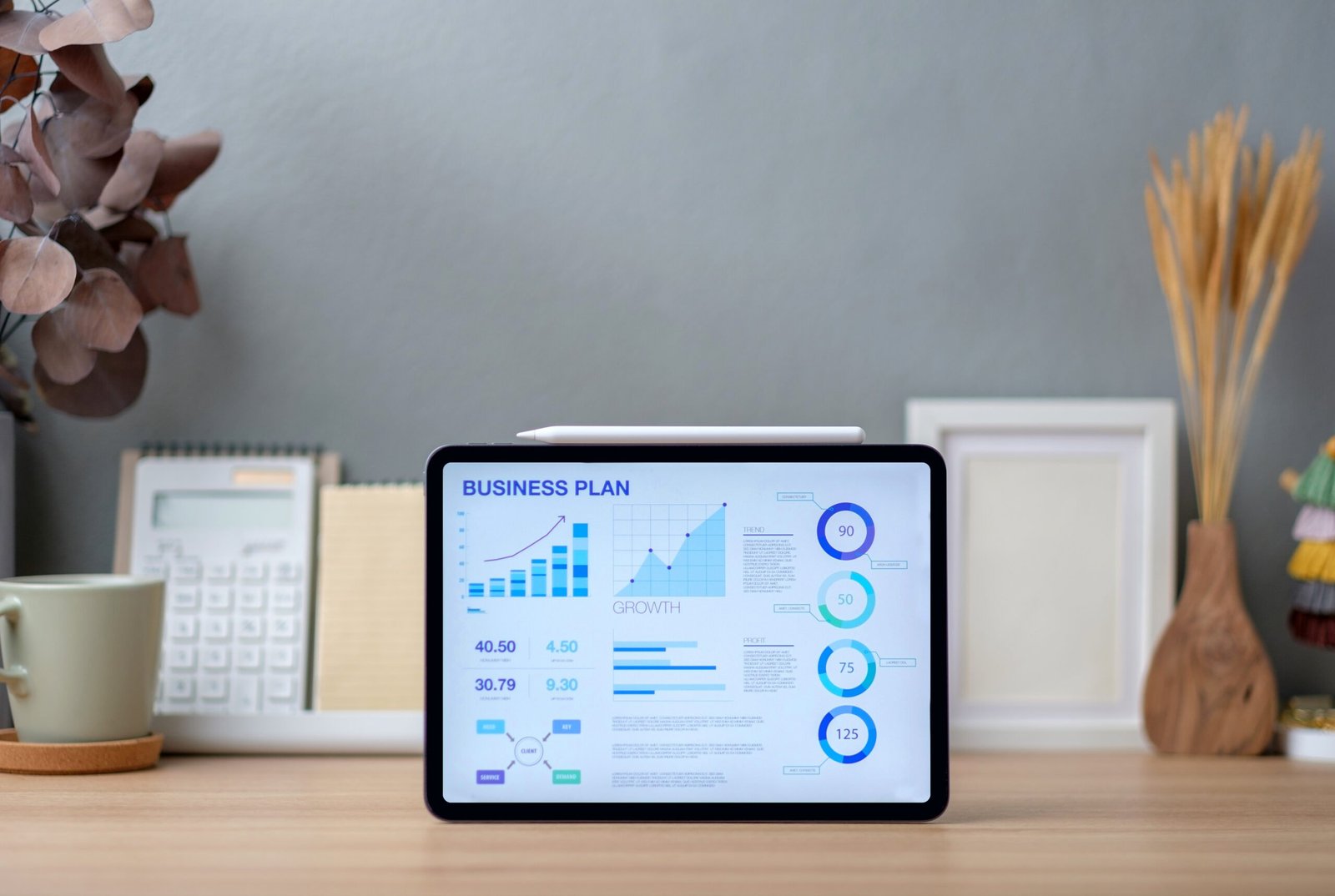 Revenue Models and Monetization Strategies